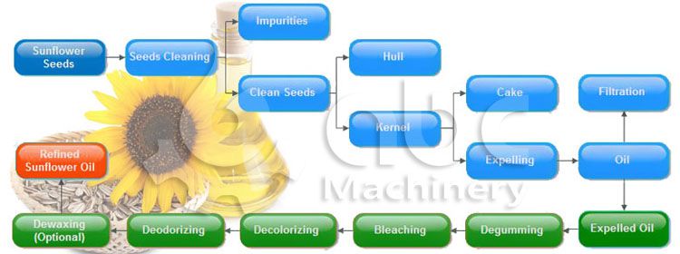 sunflower oil production process