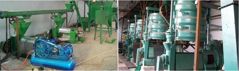 sunflower oil factory plant for oil milling business