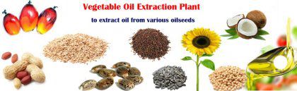 Small Vegetable Oil Extraction Plant Process & Equipment